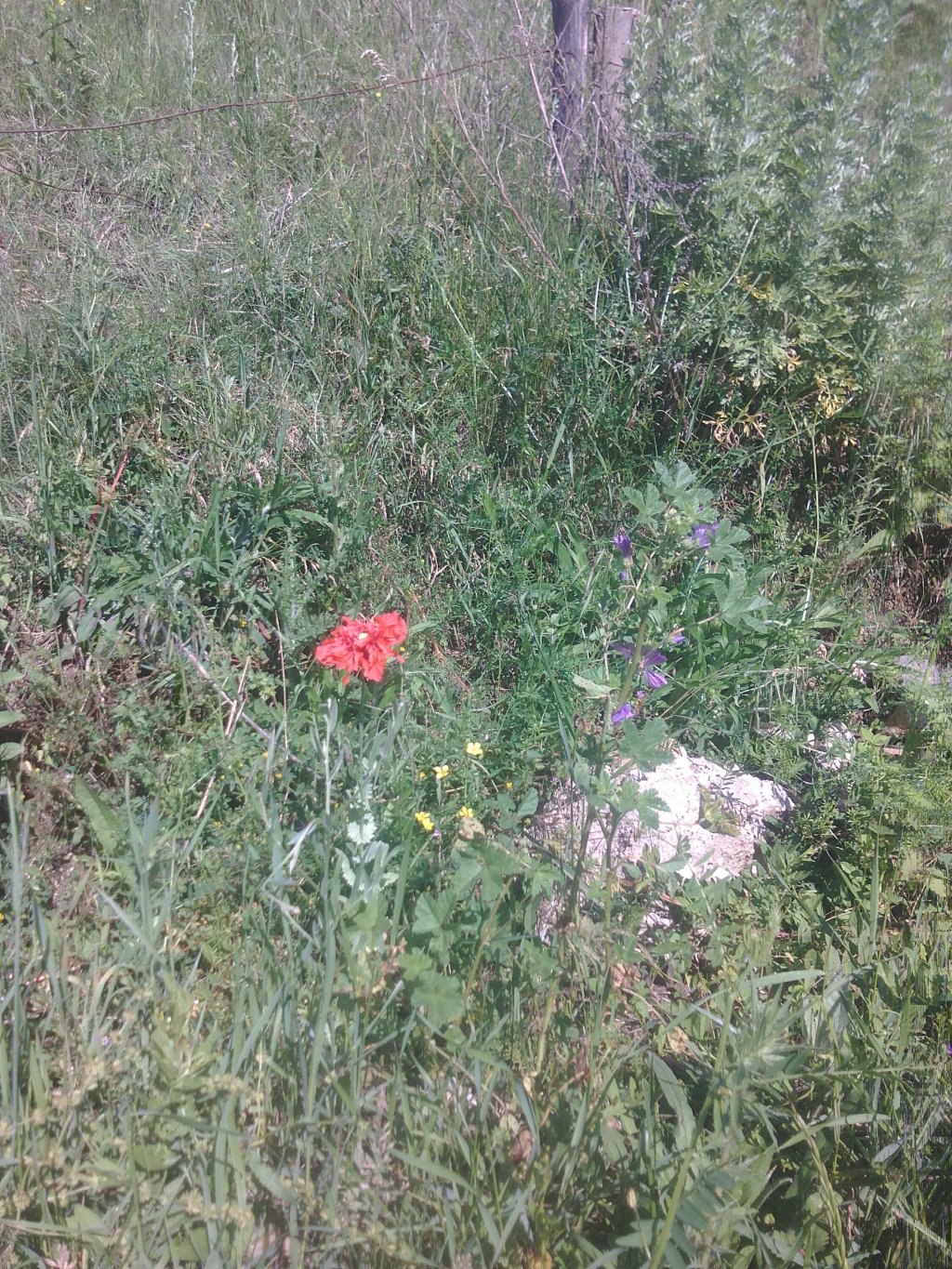 Viața perfectă pentru mine; care-i&nbsp;aceea?