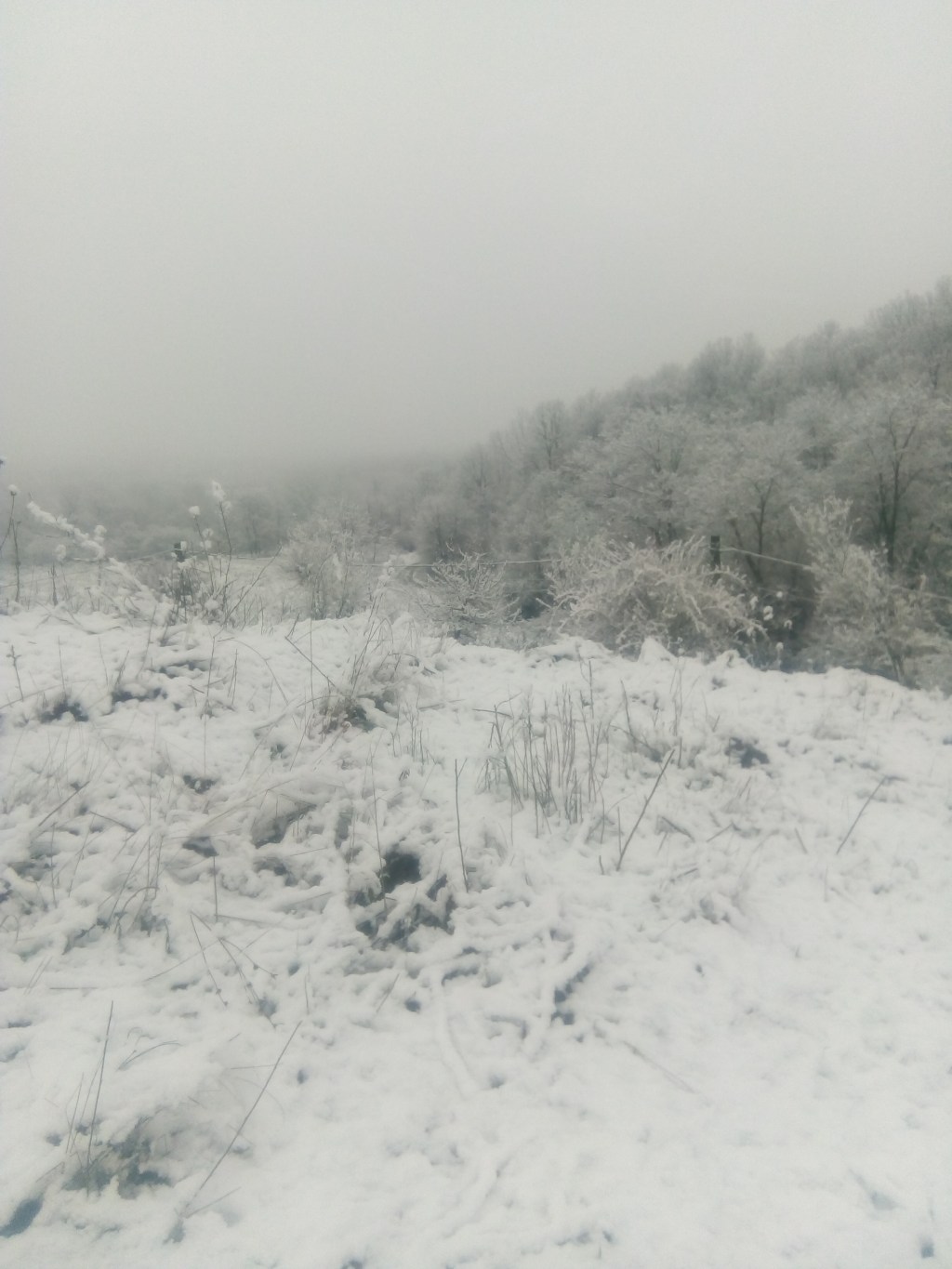 Mult dorita primăvară se lasă așteptată în&nbsp;țară