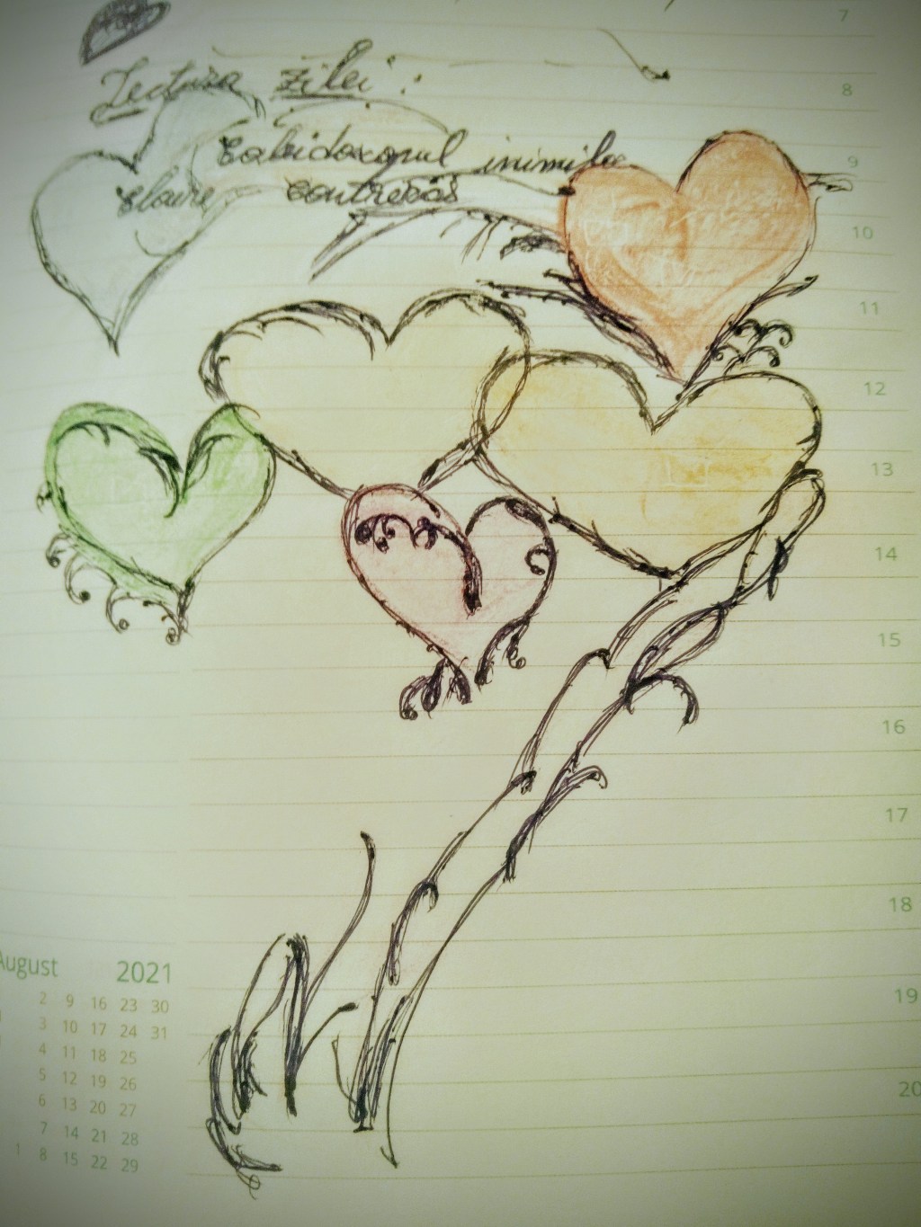 Caleidoscopul inimilor, Claire&nbsp;Contreras