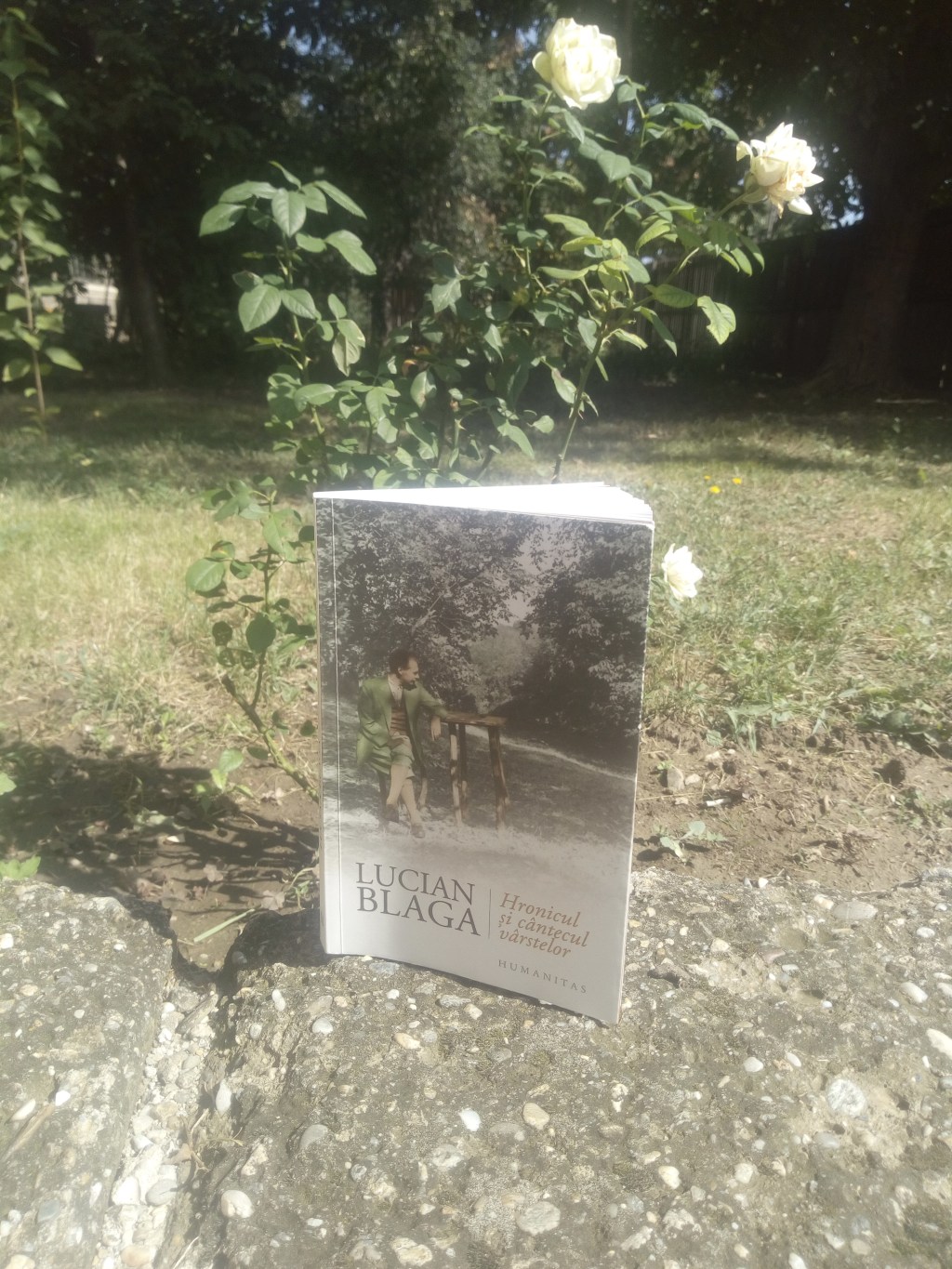 „Hronicul și cântecul vârstelor”, autobiografia lui Lucian&nbsp;Blaga